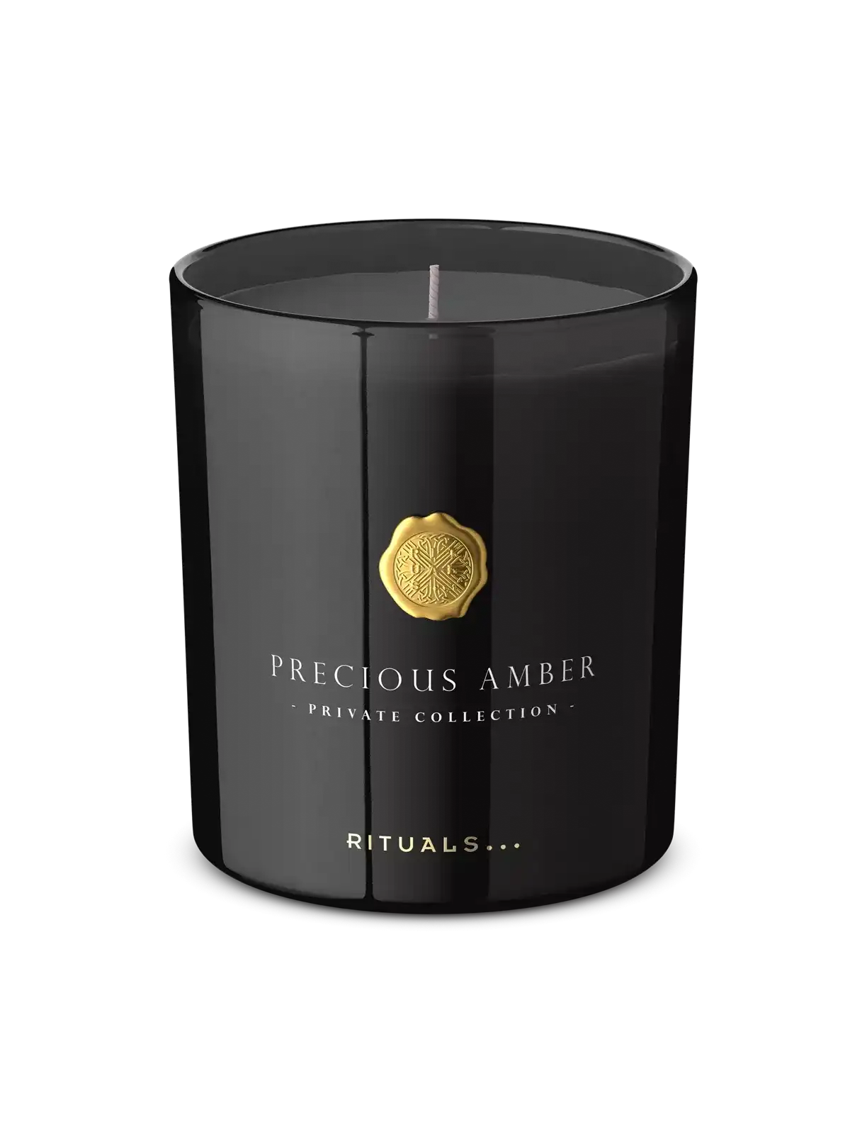 Private Collection Precious Amber Scented Candle 360 g